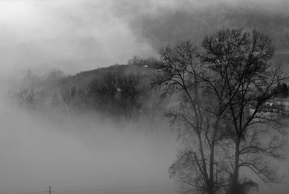 Collina